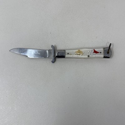 Pic Knife Stainless Steel Japan Matador Lucite  Handle SS Blade