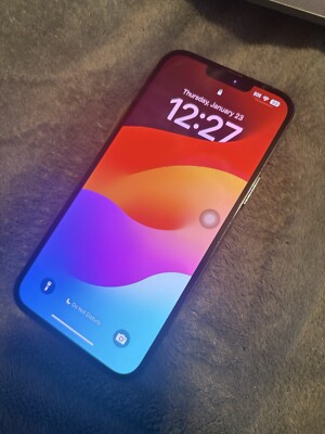 iPhone 13 Pro Max (TikTok)
