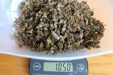 Organic Dried Prunella Vulgaris Common Self Heal Heal All 1.05 oz