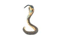 Cobra Snake Toy Plush, Stuffed Snake, Soft Bendable, Cute, Gift, 12" WR22 BB316