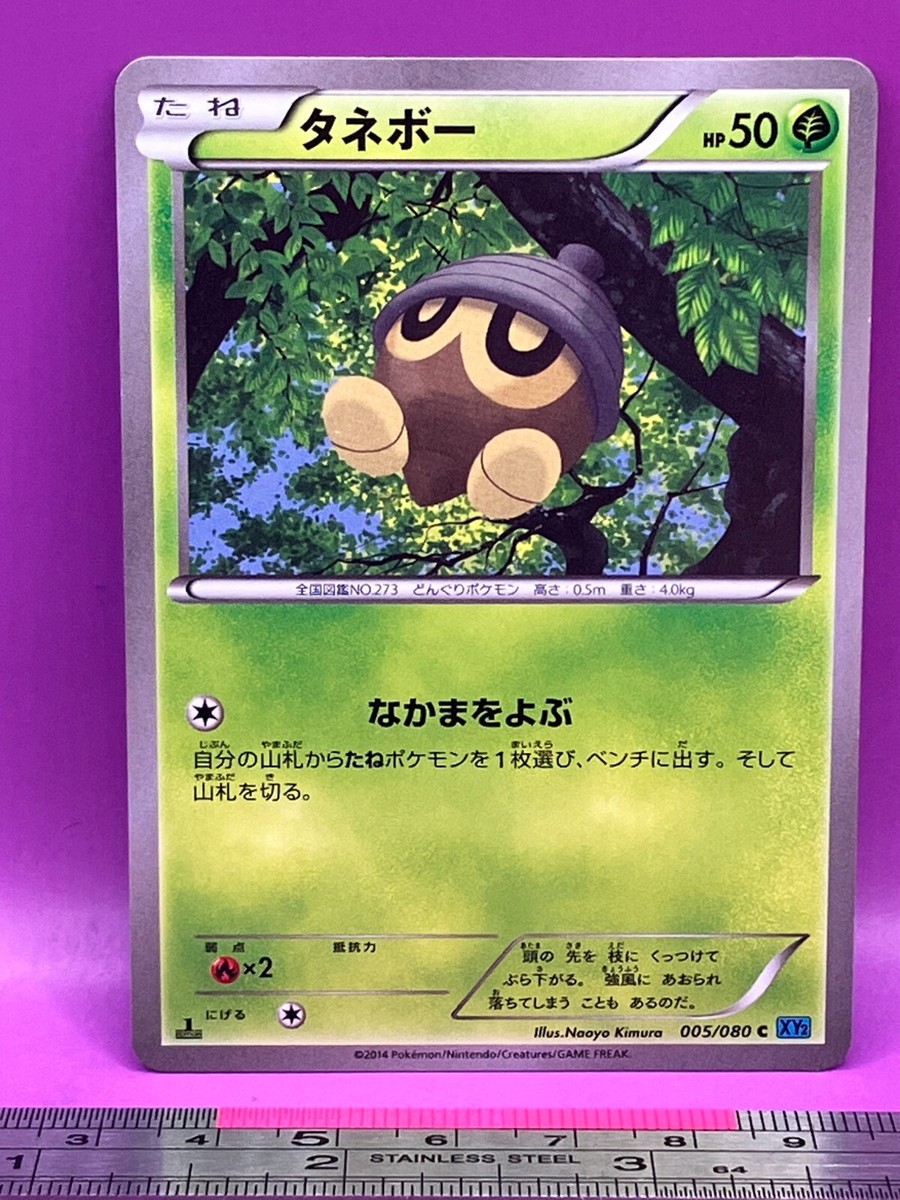 Seedot Pokemon Card 005/080 C XY2 2014 1st Ed Nintendo TCG
