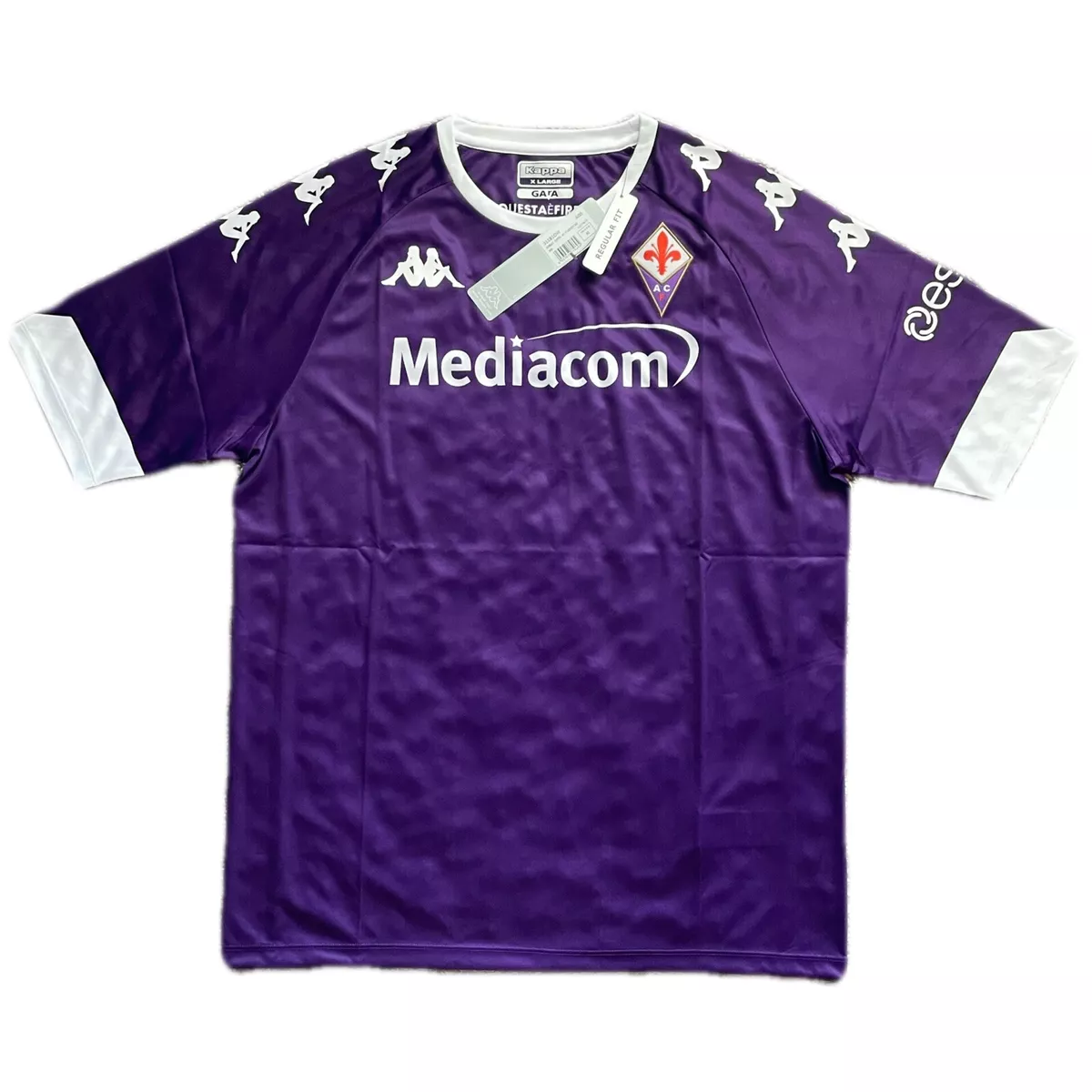 Fiorentina 101: The pre-purple days - Viola Nation