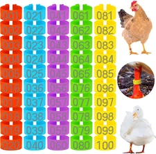 Chicken Leg Identification Band Rings 16mm - 100 PCS 5 Colors Laser Readable ...