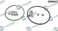 Dr.Motor Automotive Reparatursatz, Unterdruckpumpe (Bremsanlage) U.A. FüR Audi