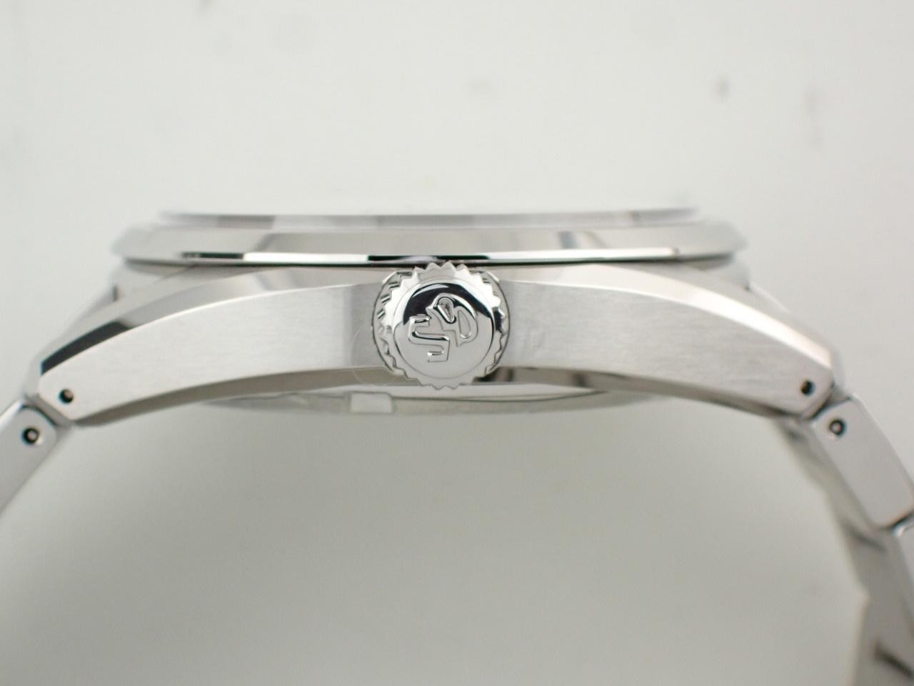 Grand Seiko Evolution 9 Mechanical Hi-Beat 36000 Shirakaba SLGH005 Automatic image 6