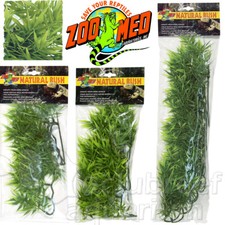 Madagascar Bamboo Plastic Terrarium Natural Bush Plant Zoo Med 14", 18" or 22"