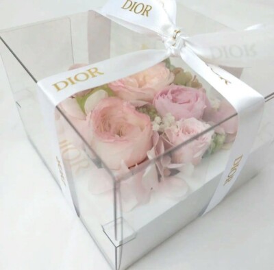 Christian Dior Preserved Pink Rose Flower W/ Gift Wrapped Acrylic