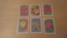 Tanzania  Scott's 1303-9, MNH. Beautiful Flowers. sal's stamp store.