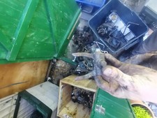 Mg zr zs rover 25 45 diesel 2.0 cambio realizzare forcella