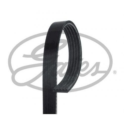 Keilrippenriemen Micro-V® Gates 5PK1800 FüR Kia Cerato-image
