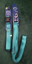 Dog Leash And Collar