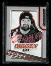 Custom Biggzy Rips Auto: Red, Black, Or Silver Available