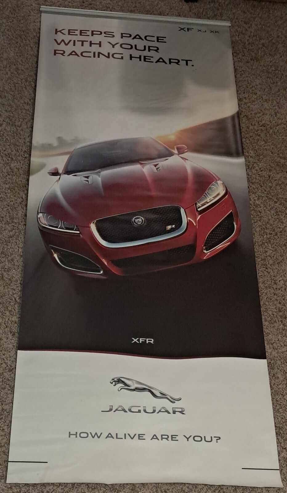 Foto 1 di 8