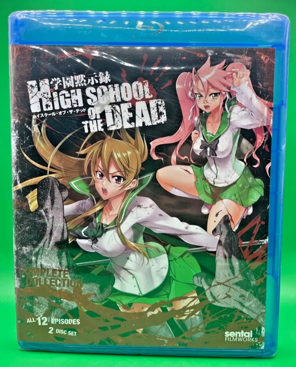 Highschool Of The Dead Season 2 Release Date Latest Update, Still