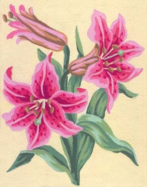 Grafitec Printed Tapestry Needlepoint Canvas - Lily