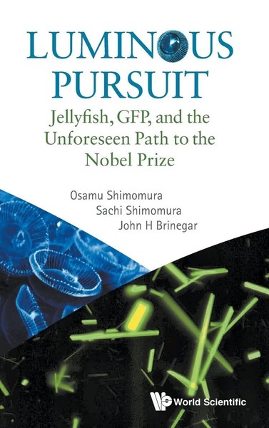 Shimomura Osamu | Luminous Pursuit | Buch | Englisch (2017) | Gebunden-image