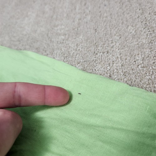 Vintage Polo Ralph Lauren Shirt Men Large 100% Linen Classic Fit Green Button Up - Picture 5 of 8