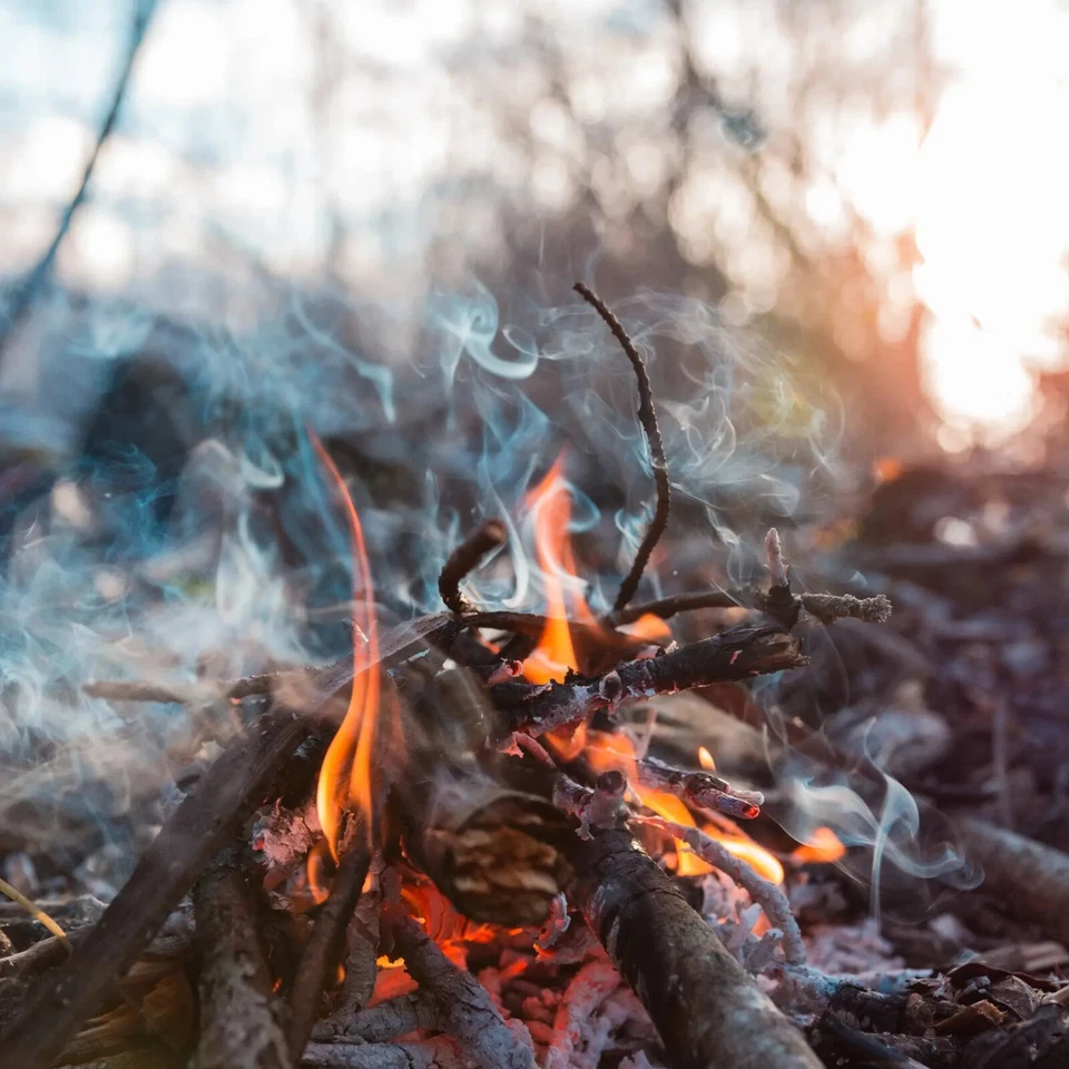 FRAGRANCEBUDDY Wood Smoke Type Fragrance Oil for candle/soap making Free Shipping