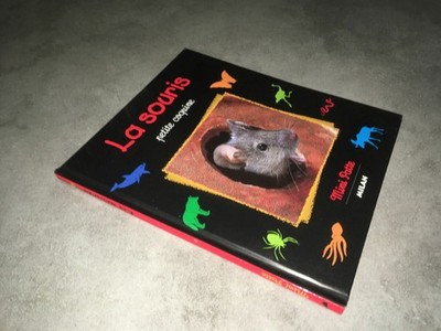 Stéphane Frattini / Franco / Bonnard LA SOURIS Petite coquine MINI PATTE - DC27A