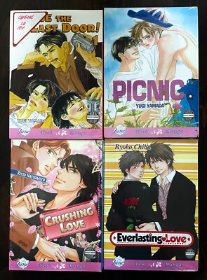 NEW Lot of 4 English Yaoi Manga_Yugi Yamada_Ritsu Natsumizu_Ryoko Chiba (#Y209)
