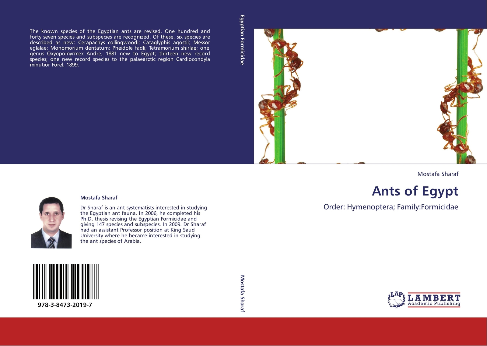 Thumbnail - Mostafa Sharaf | Ants Of Egypt | Taschenbuch | Englisch (2011) |