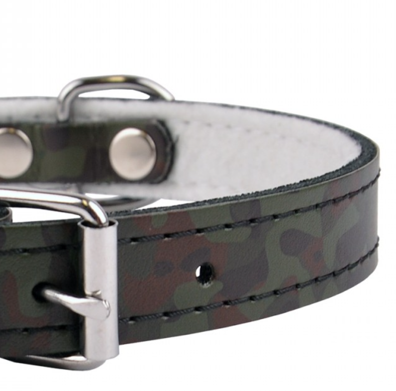 Jack & Russell Hundehalsband Aus Fettleder