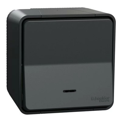 Schneider MUR35024 Mureva Styl - Light Switch LED - Surface Mounted - IP55 IK08