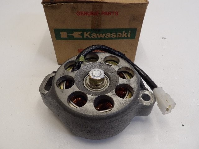 Kawasaki ZXR 750 1989-1990 Lichtmaschine (Generator) 201603657 | eBay