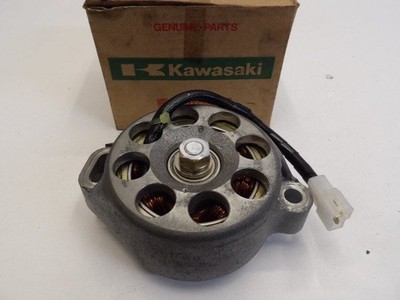 Kawasaki ZXR 750 1989-1990 Lichtmaschine (Generator) 201603657 | eBay
