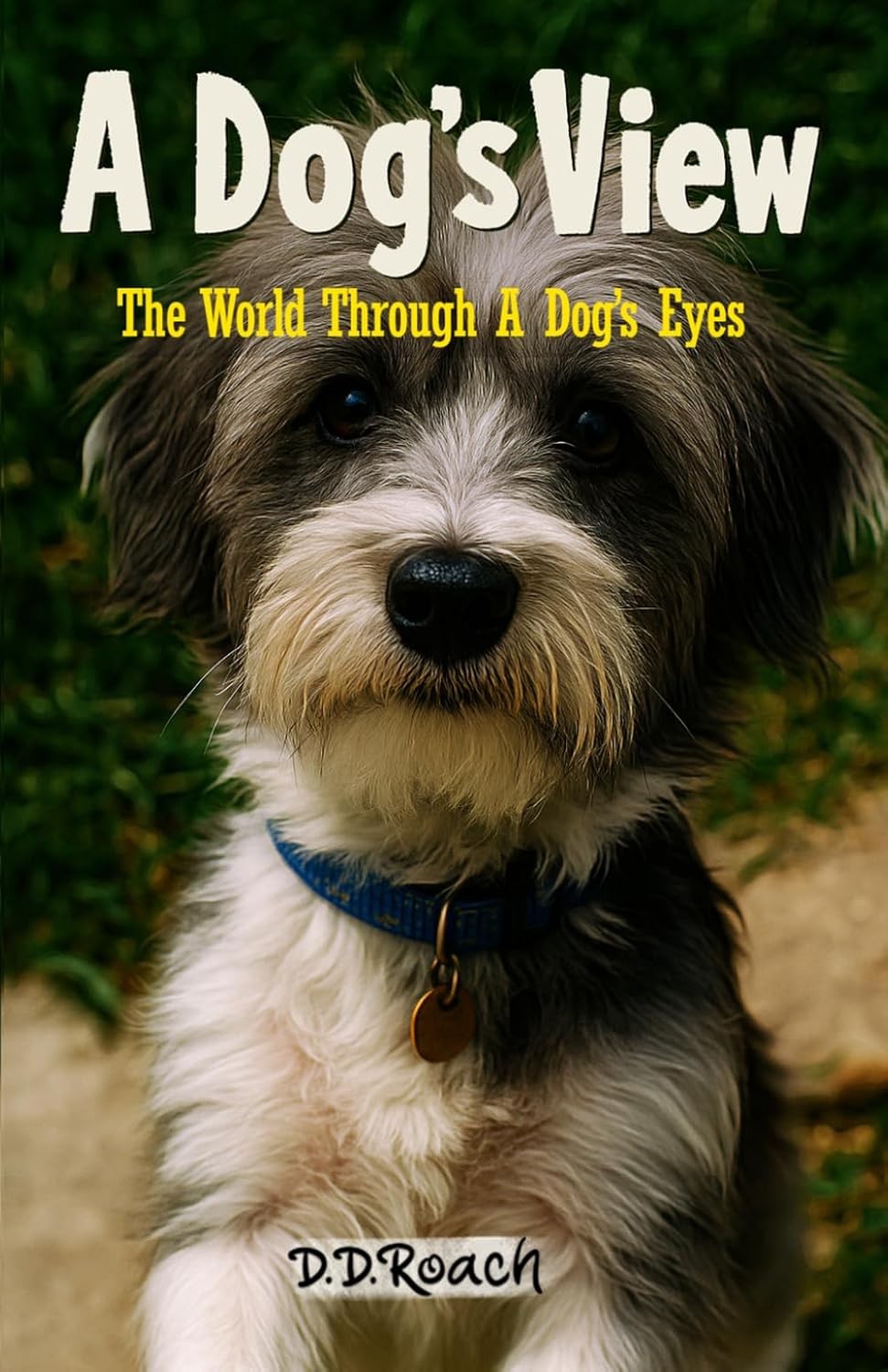 A Dog's View: The World Through A Dog's Eyes - Image 3
