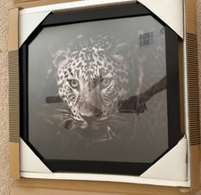 17x17 Picture Frame with Polished Plexiglass - Epic Collection - Square Picture