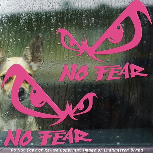 Funny 2 No Fear Eyes JDM Boost Drift Truck Sticker Decal - Picture 3 of 12