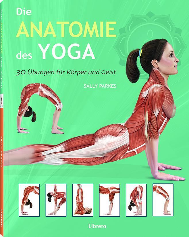 Thumbnail - Die Anatomie Des Yoga Sally Parkes