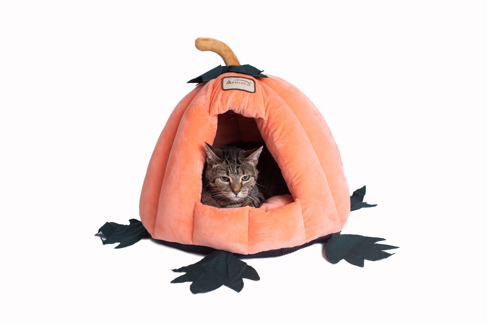 pumpkin cat bed petsmart