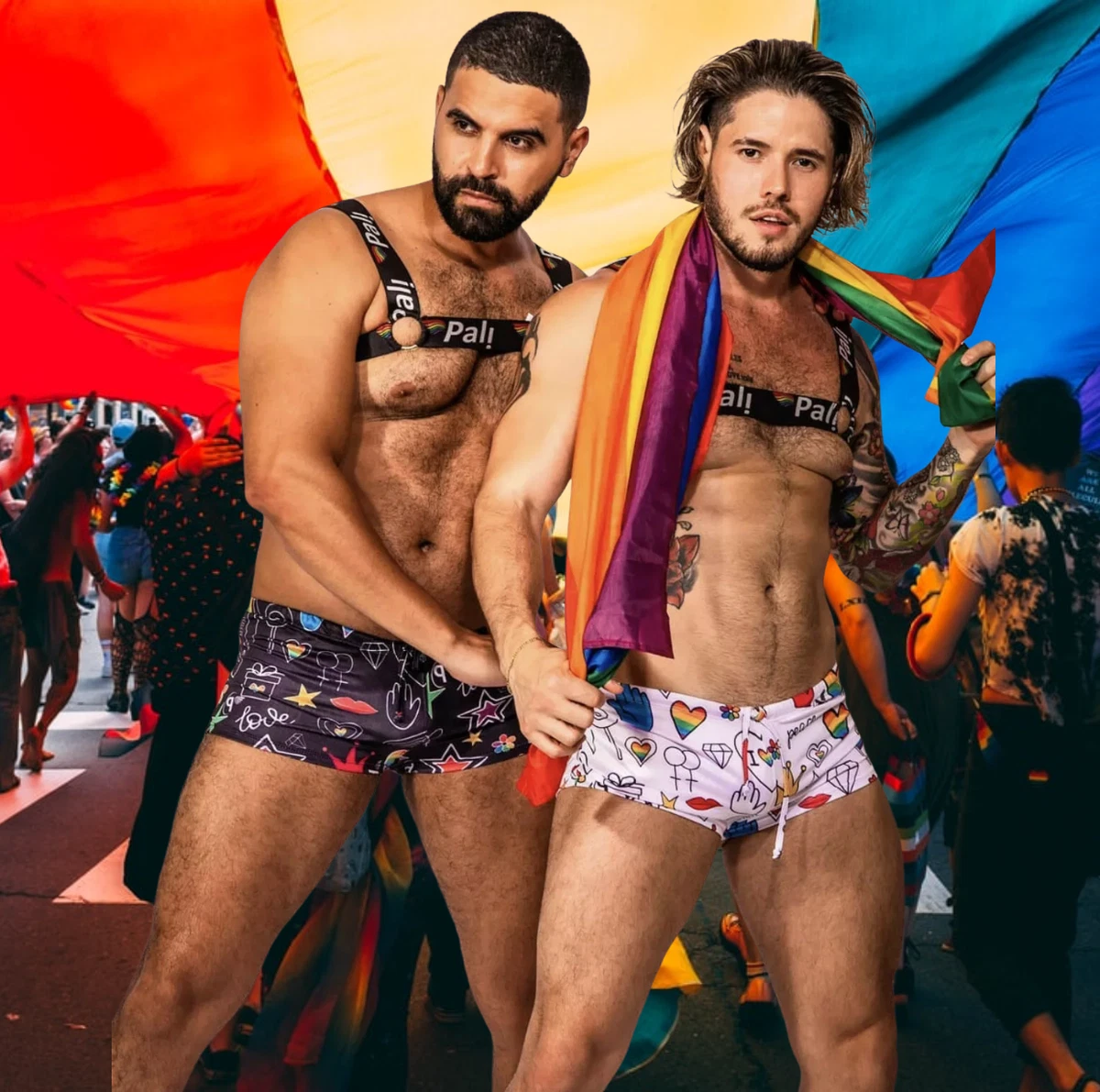 Gay pride sales bathing suit