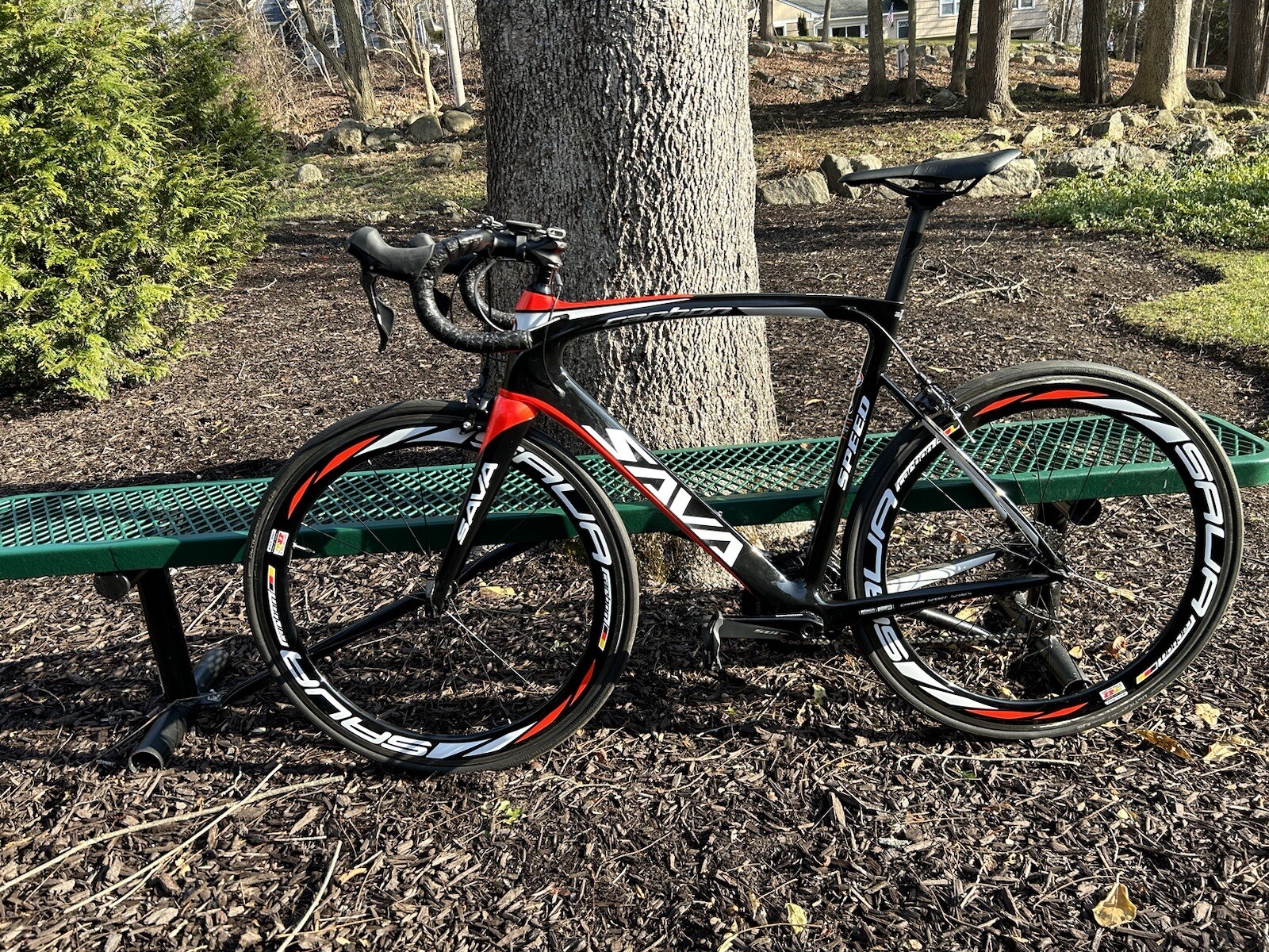Sava Carbon Fiber Road Bike