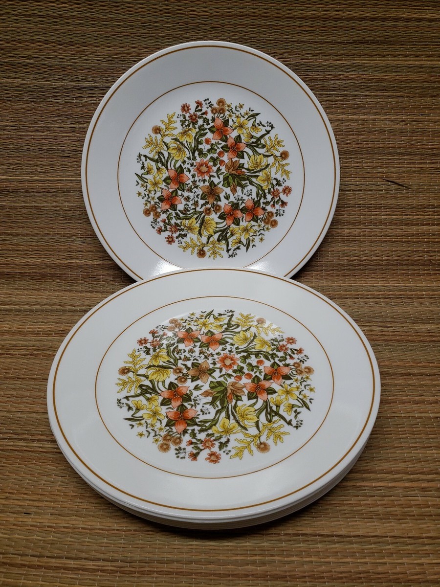 Vintage corelle Indian summer Plate set