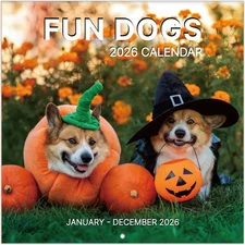 2026 Wall Calendar, 2026 Funny Dogs Calendar, 12 Months from Jan 2026 - Dec 2026