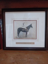 Antique Photographic Print Grand National Winner 1911 Glenside Signed F Bibby