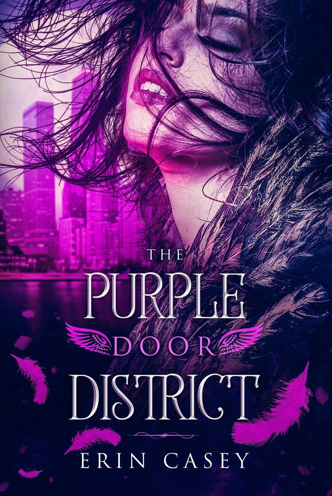 Thumbnail - Erin Casey The Purple Door District (taschenbuch) Purple Door District
