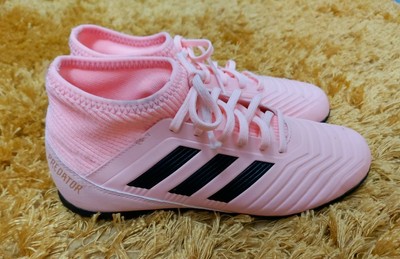 pink predator astros