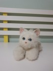 ELECTRONIC PET CAT TOY WHITE CAT TIGER BRANDED