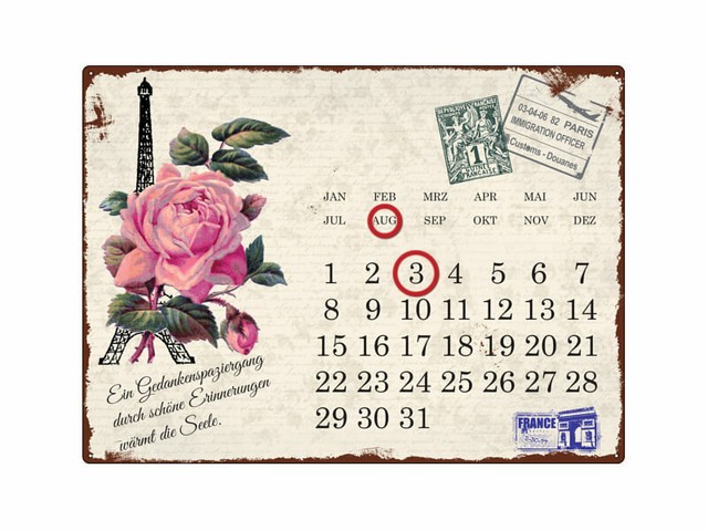 Shabby Chic Metallschild Blech Kalender Paris Rose Spruch Lustig Geschenk Deko Ebay