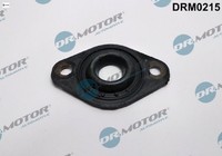 Dr.Motor Automotive DRM0215 Dichtung FüR DüSenhalter FüR Opel
