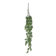 1 Piece of Artificial Plants  Botanica Hop Hanging Bush
