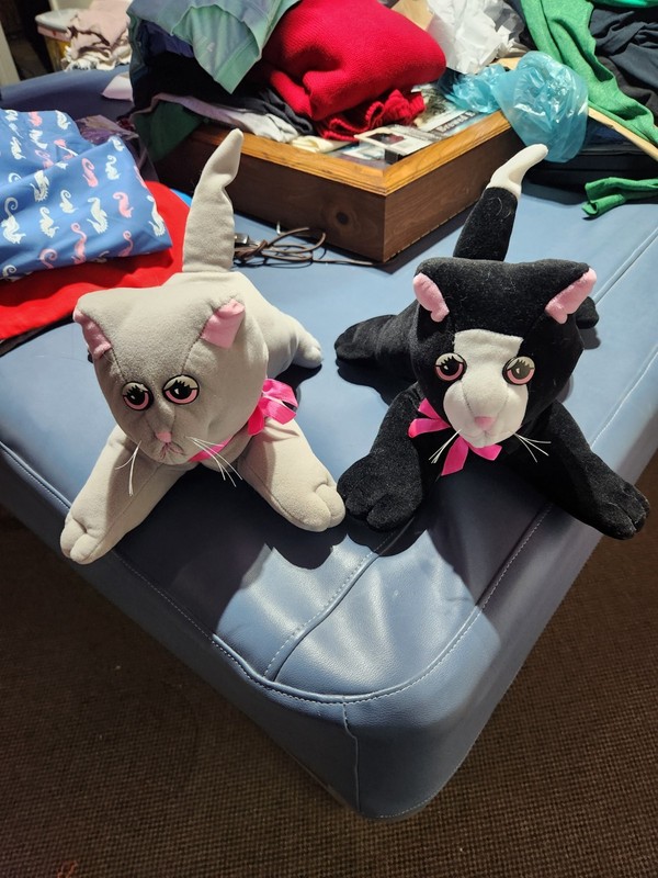 Mighty Tonka Pound Purries Cat Plush 13" Stuffed Animal Pound Puppy Puppies Lot