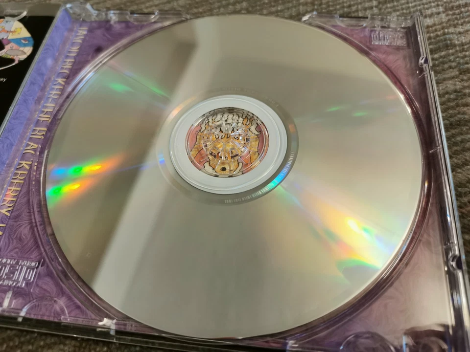 Jason Becker The Blackberry Jams Foto 3 de 4