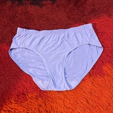Vtg Vanity Fair Silky Nylon L Panties Purple Lilac Bikini Hipster Mexico