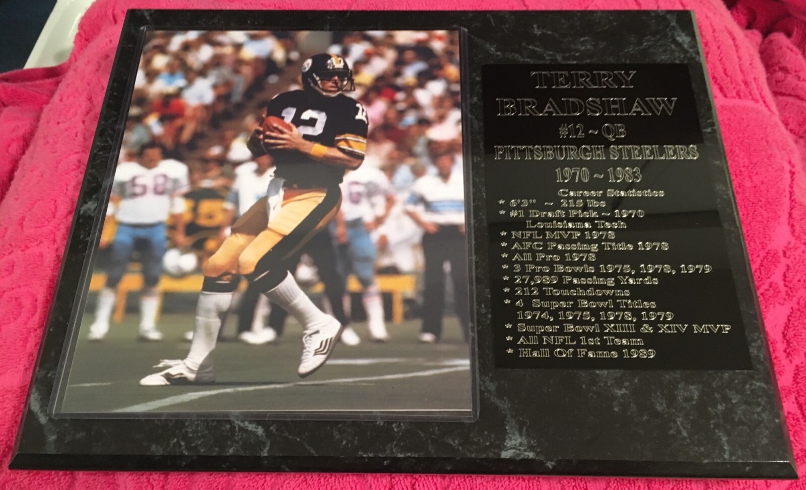 Terry Bradshaw Pittsburgh Steelers statistics plaque. New Lower Pricing