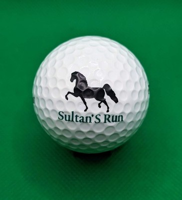 Sultan's Run Golf Course logo golf ball (Jasper, Indiana)